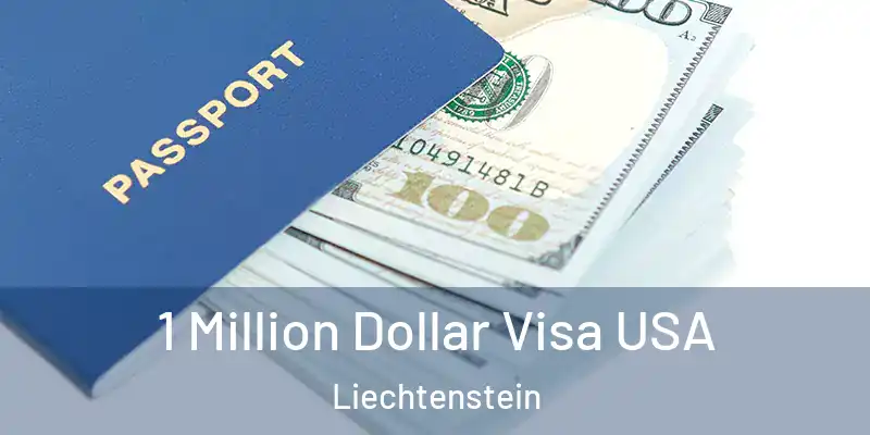 1 Million Dollar Visa USA Liechtenstein